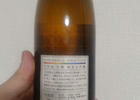 alt 2