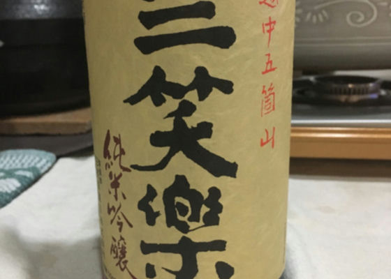 alt 1