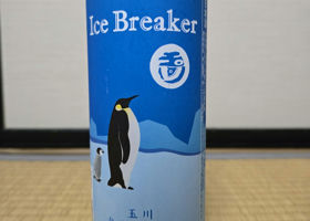 alt 1