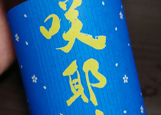 alt 1