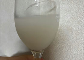 alt 4