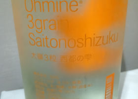 大嶺 チェックイン 2