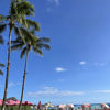 Islanderのラベルと瓶 3