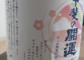alt 2