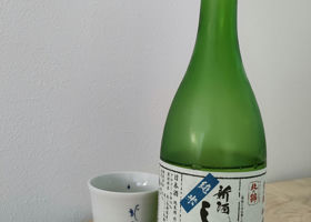 alt 1