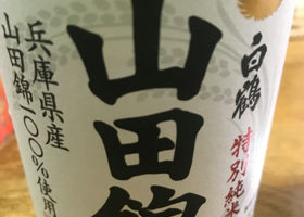 alt 1