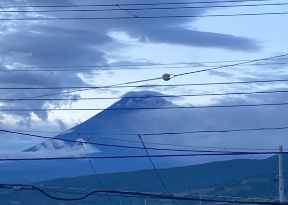 山本