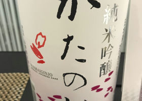alt 1