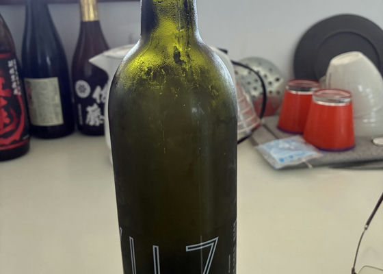 alt 1