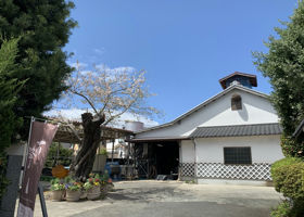 alt 3
