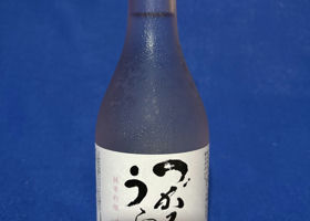 alt 1