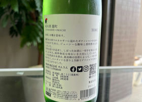 alt 3