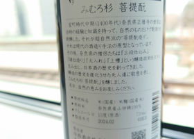 alt 2