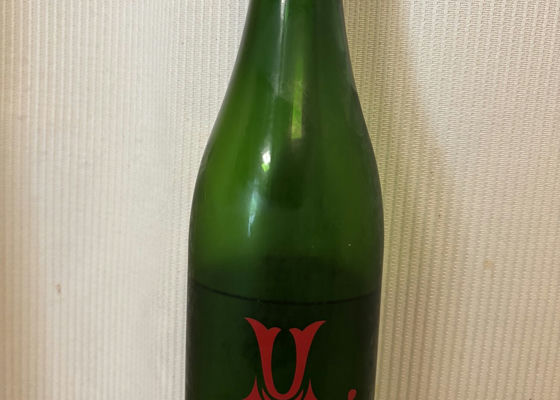alt 1