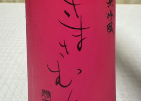 alt 1