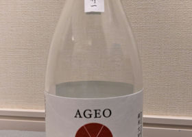 AGEO チェックイン 1