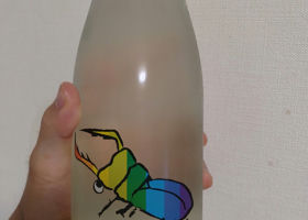 alt 2