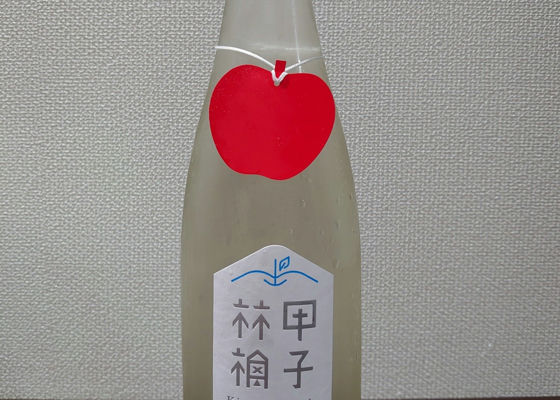 alt 1