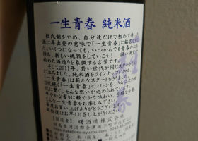 alt 1