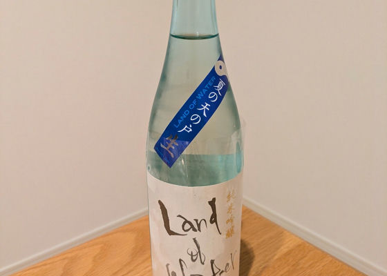 alt 1