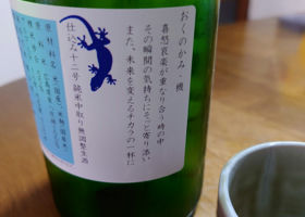 alt 3