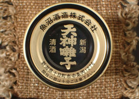 alt 3