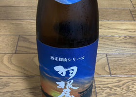 alt 3