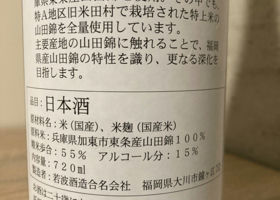 alt 3