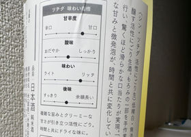 シン・ツチダ チェックイン 3