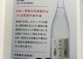 alt 1