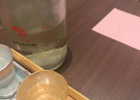 alt 1