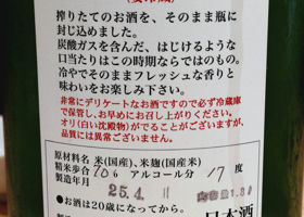 alt 3