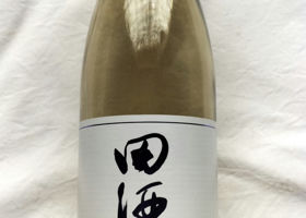 田酒 チェックイン 1