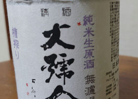 alt 3