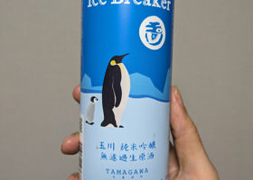 alt 1