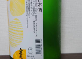 alt 2