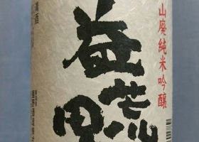 alt 2