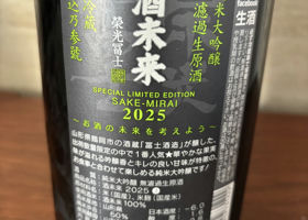 alt 3