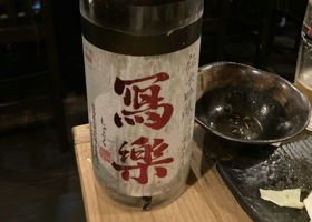alt 1