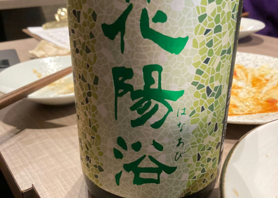 alt 1