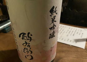 alt 1