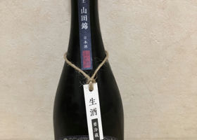 alt 1