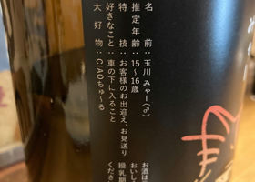 alt 3