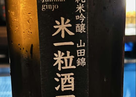 alt 1