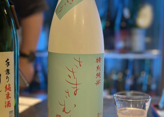 alt 1