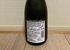 alt 3
