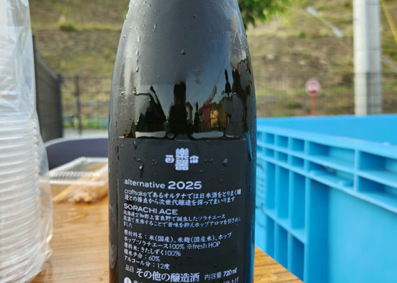 alt 1