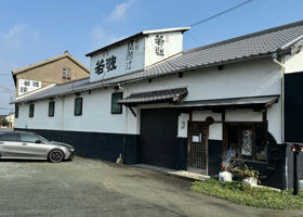 alt 3