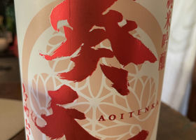 alt 1