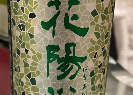 alt 1